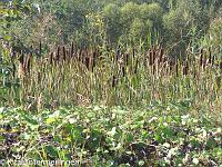 20110919-20110919-Ausflug Tongrube (58)